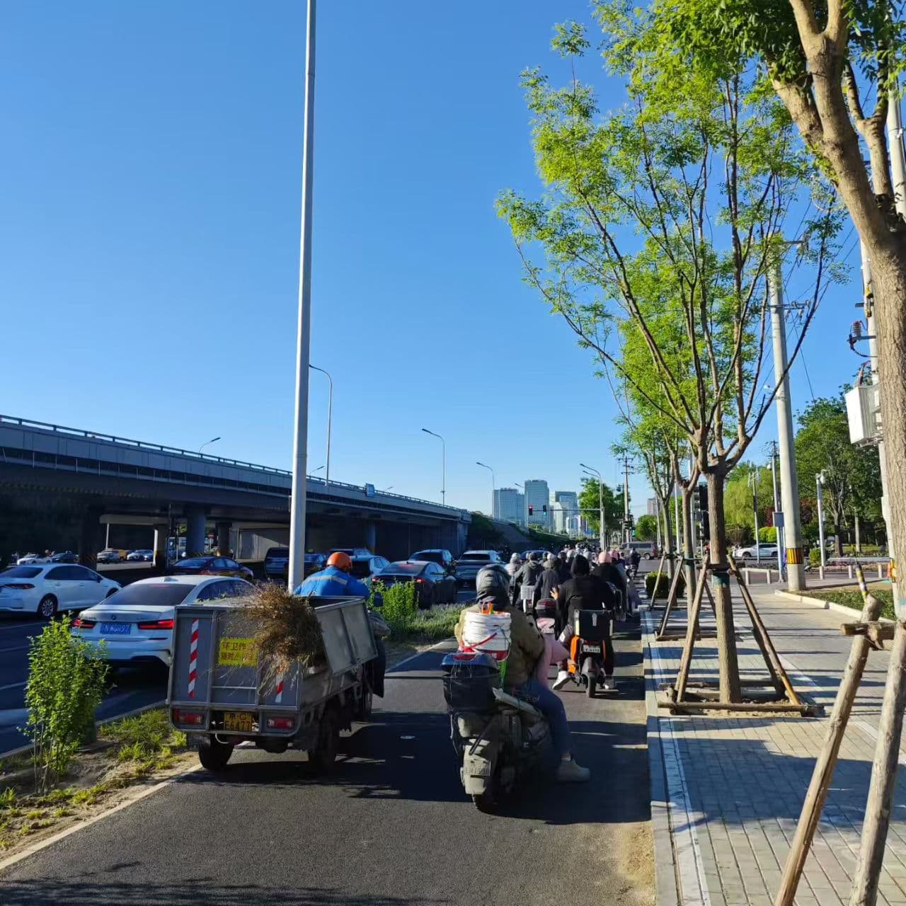 春日，天朗气清，骑车看景，便觉自己是个自由的人。