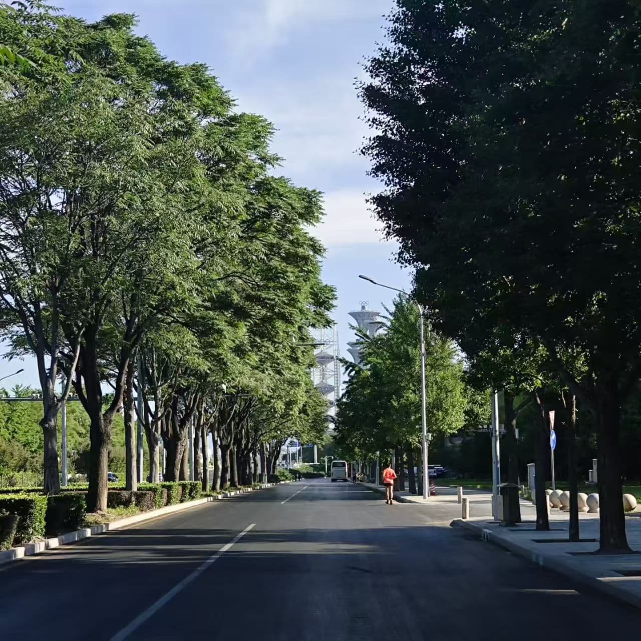 每日街景
