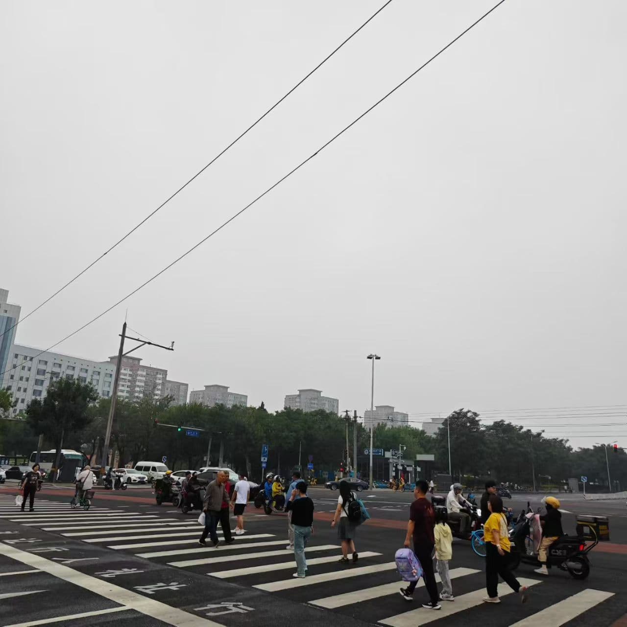 每日街景