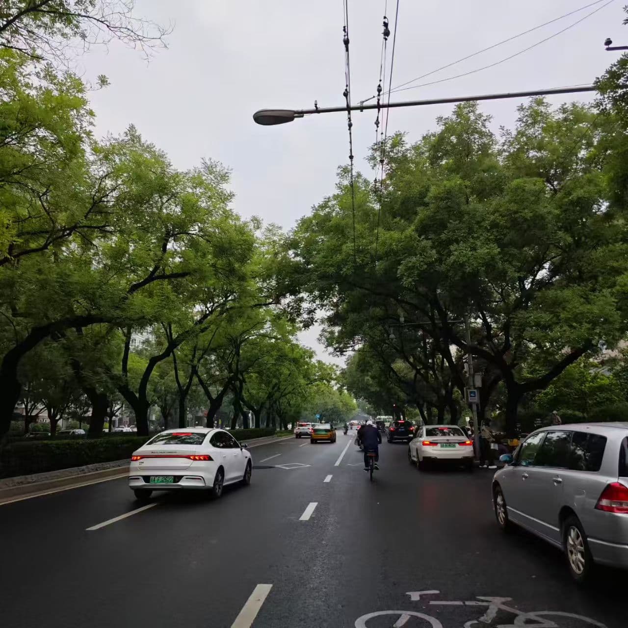每日街景